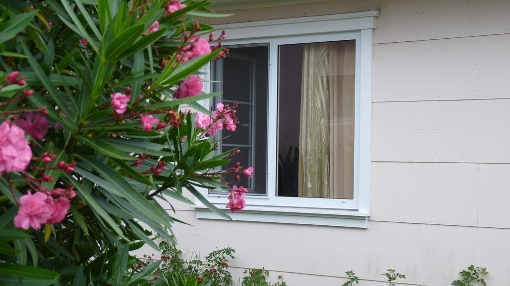 Azores Garden House - Private Suites & Apartments - Automatic Self Check-In 蓬塔德尔加达 外观 照片