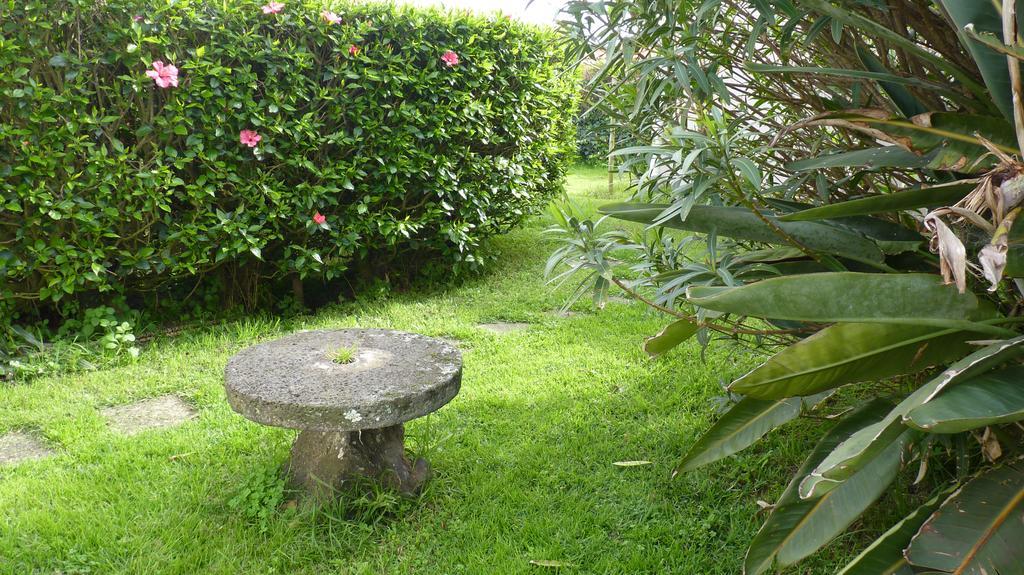Azores Garden House - Private Suites & Apartments - Automatic Self Check-In 蓬塔德尔加达 外观 照片