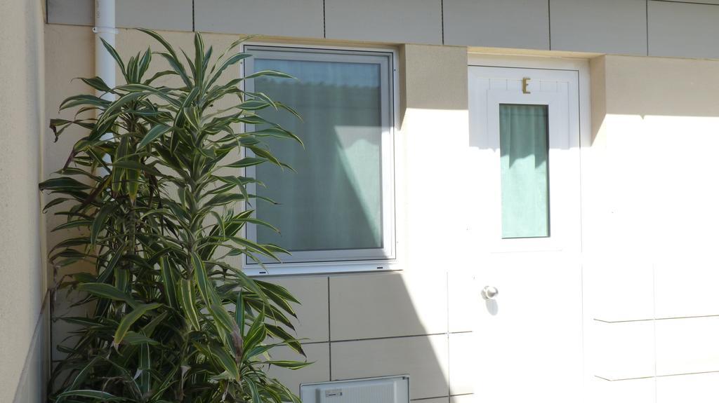 Azores Garden House - Private Suites & Apartments - Automatic Self Check-In 蓬塔德尔加达 外观 照片