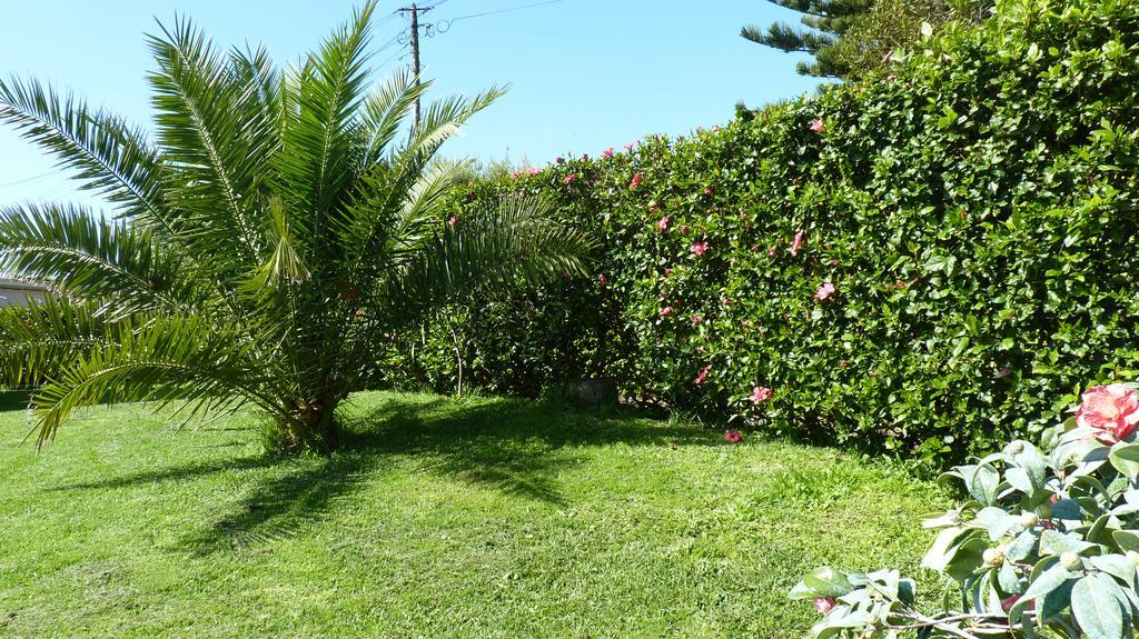 Azores Garden House - Private Suites & Apartments - Automatic Self Check-In 蓬塔德尔加达 外观 照片